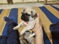 processed/7bd03d66-96e2-4b22-af8d-2fc44559aee7/listing/f7633928-7075-449c-b2d7-44a6a449e5f5/171eee86-e15d-41c5-bba5-8cbe073f8648