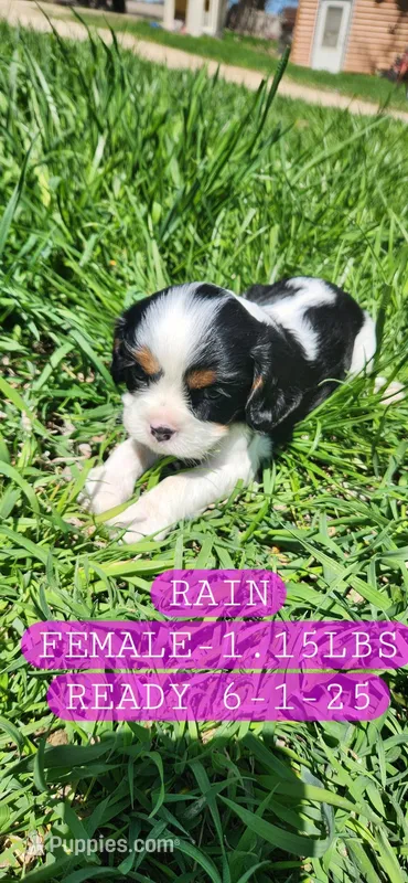 April Weather Addition