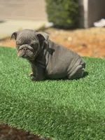 processed/7bd714a8-5f8f-4958-8bce-107aa6d1f2d0/listing/2a2558a3-8d12-491d-88af-7ccf501ff693/c227da5b-0bcd-4a37-aeb5-46fee437aac7