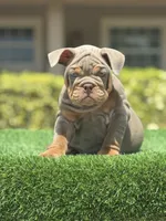 processed/7bd714a8-5f8f-4958-8bce-107aa6d1f2d0/listing/385073bd-0a0b-41e4-b4da-3bd6b914fb5f/53fbbdb1-b9a0-4847-ae22-3db4c38de0a7