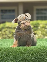 processed/7bd714a8-5f8f-4958-8bce-107aa6d1f2d0/listing/385073bd-0a0b-41e4-b4da-3bd6b914fb5f/db0deb05-48cc-47cc-8403-33e44da90608