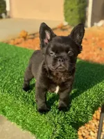 processed/7bd714a8-5f8f-4958-8bce-107aa6d1f2d0/listing/4dc4a506-4554-4700-be1b-0d5b948be2a3/435c2166-105d-476e-8c0a-7b19a17b8fa8