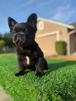 processed/7bd714a8-5f8f-4958-8bce-107aa6d1f2d0/listing/4dc4a506-4554-4700-be1b-0d5b948be2a3/4eeab452-3493-4c08-8e81-055b837e2313