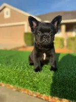 processed/7bd714a8-5f8f-4958-8bce-107aa6d1f2d0/listing/4dc4a506-4554-4700-be1b-0d5b948be2a3/9ead151d-0549-436f-8bab-f3063e1743fd