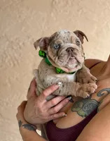 processed/7bd714a8-5f8f-4958-8bce-107aa6d1f2d0/listing/aa584412-8154-4c04-a36e-7c493945c9ea/0dc3df36-3c00-47ce-ad63-275398a158c9