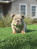 processed/7bd714a8-5f8f-4958-8bce-107aa6d1f2d0/listing/aa584412-8154-4c04-a36e-7c493945c9ea/e6cda8ac-df55-4dce-b372-5aee2cb130b5