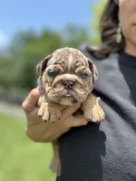 processed/7bd714a8-5f8f-4958-8bce-107aa6d1f2d0/listing/ced90770-7f0e-48a1-acf0-34e3e5d7d8c5/a097882e-2b28-4904-9692-7276aa5959e1