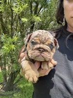 processed/7bd714a8-5f8f-4958-8bce-107aa6d1f2d0/listing/ced90770-7f0e-48a1-acf0-34e3e5d7d8c5/b90e99d6-9c70-4457-ace0-ede7613dc7a9