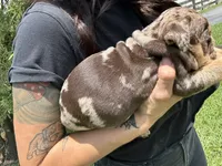 processed/7bd714a8-5f8f-4958-8bce-107aa6d1f2d0/listing/ced90770-7f0e-48a1-acf0-34e3e5d7d8c5/d95949d1-1d77-49e9-b91b-74662f4d15e2