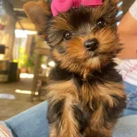 processed/7bdac0c6-4508-435c-82f8-b8c8b584ccd1/facility/0ddf3fb4-f841-4db2-9626-81d487138f93