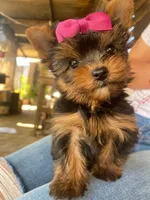 processed/7bdac0c6-4508-435c-82f8-b8c8b584ccd1/facility/0ddf3fb4-f841-4db2-9626-81d487138f93