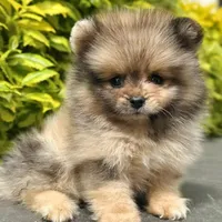 processed/7bdac0c6-4508-435c-82f8-b8c8b584ccd1/facility/1a3c7938-13a6-42c2-82d4-5809014676ca