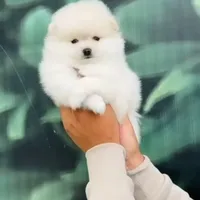 processed/7bdac0c6-4508-435c-82f8-b8c8b584ccd1/facility/1e3838db-552b-4ced-b2c2-2e32e4987e44