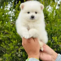 processed/7bdac0c6-4508-435c-82f8-b8c8b584ccd1/facility/5a9c15d8-d0a9-4dd5-be68-b63990614aa6