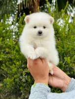 processed/7bdac0c6-4508-435c-82f8-b8c8b584ccd1/facility/5a9c15d8-d0a9-4dd5-be68-b63990614aa6