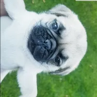 processed/7bdac0c6-4508-435c-82f8-b8c8b584ccd1/facility/5b2c338d-3f2a-4aa8-8a21-8acde3ae5181