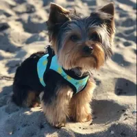 processed/7bdac0c6-4508-435c-82f8-b8c8b584ccd1/facility/78db13c2-c5ce-48d7-b4f7-c9d5620f0737