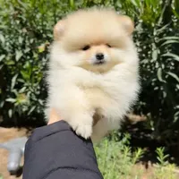 processed/7bdac0c6-4508-435c-82f8-b8c8b584ccd1/facility/8a040ba0-5dd5-47ab-985d-7597ecfa857f