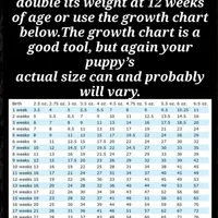 processed/7bdac0c6-4508-435c-82f8-b8c8b584ccd1/facility/a96aec5b-a47d-4d38-95b7-637a8d58b4fc