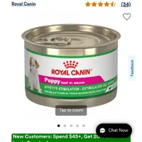 Abby, a female Yorkshire Terrier for sale in Riverside, CA – Photo 3 of 3