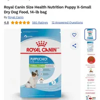 Abby, a female Yorkshire Terrier for sale in Riverside, CA – Photo 1 of 3