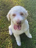 processed/7bdd4417-5a28-4889-9bfa-b3e0f3631115/listing/311ba357-1b9b-41bf-93b2-c0174b65068b/6759b3f5-f26e-4f37-bfe7-88cd6c5852ac