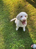 processed/7bdd4417-5a28-4889-9bfa-b3e0f3631115/listing/311ba357-1b9b-41bf-93b2-c0174b65068b/75cc5a77-975c-4705-8776-bef52c8ee3c6