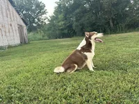 processed/7bdd4417-5a28-4889-9bfa-b3e0f3631115/listing/3a1b3f6e-e78e-45a4-be53-52fec2423d66/a17da8e2-d2e4-41a5-adf6-b5f901b9be19