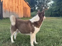 processed/7bdd4417-5a28-4889-9bfa-b3e0f3631115/listing/3a1b3f6e-e78e-45a4-be53-52fec2423d66/aba14e37-5a4c-4717-a113-5c19e4e563ad