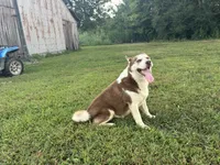 processed/7bdd4417-5a28-4889-9bfa-b3e0f3631115/listing/3a1b3f6e-e78e-45a4-be53-52fec2423d66/bf7b8328-dd92-4431-83a6-9bd132e29e87