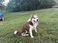 processed/7bdd4417-5a28-4889-9bfa-b3e0f3631115/listing/3a1b3f6e-e78e-45a4-be53-52fec2423d66/e29aa352-c944-46e9-8476-f0c67284cd7f