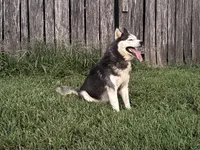 processed/7bdd4417-5a28-4889-9bfa-b3e0f3631115/listing/7dd371ed-4411-43f4-a710-f6537a4ba659/61ccc7d5-2137-4293-a22f-6218e74b820c