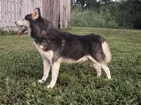 processed/7bdd4417-5a28-4889-9bfa-b3e0f3631115/listing/7dd371ed-4411-43f4-a710-f6537a4ba659/627898db-a58f-4c8a-9c77-d7858954c7cd