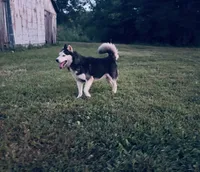 processed/7bdd4417-5a28-4889-9bfa-b3e0f3631115/listing/7dd371ed-4411-43f4-a710-f6537a4ba659/9fb29856-ecd1-47d8-8b72-f7c6a1baa11b