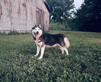 processed/7bdd4417-5a28-4889-9bfa-b3e0f3631115/listing/7dd371ed-4411-43f4-a710-f6537a4ba659/b88b29df-2728-4efa-abd7-ff0fbb6a7b70