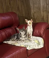 processed/7bdfa8f3-7a78-4ffb-82e2-b68b8f7c7e5b/facility/0d2b6bfb-a733-4bbd-914f-36d46e4ea988