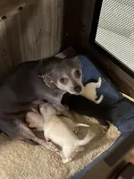 processed/7bdfa8f3-7a78-4ffb-82e2-b68b8f7c7e5b/facility/26117893-488b-4631-b09e-cfcbf1e3ccce