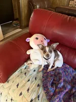 processed/7bdfa8f3-7a78-4ffb-82e2-b68b8f7c7e5b/facility/77e59520-9edc-4b51-b098-aab7a056d5f3