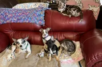 processed/7bdfa8f3-7a78-4ffb-82e2-b68b8f7c7e5b/facility/845fa789-2e19-47a8-a288-f41479bafb41