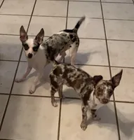 processed/7bdfa8f3-7a78-4ffb-82e2-b68b8f7c7e5b/facility/a043630c-844b-4531-a8ca-9a6d5c2df004