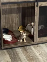 processed/7bdfa8f3-7a78-4ffb-82e2-b68b8f7c7e5b/facility/a6bad781-979e-4030-8e36-b0db05b2ad8b