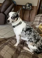 processed/7bdfa8f3-7a78-4ffb-82e2-b68b8f7c7e5b/facility/b24f8cc1-5518-4f50-a8e5-41886ba1578f