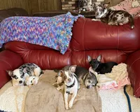 processed/7bdfa8f3-7a78-4ffb-82e2-b68b8f7c7e5b/facility/cfe5c427-b933-406e-bfa7-f4849be17580