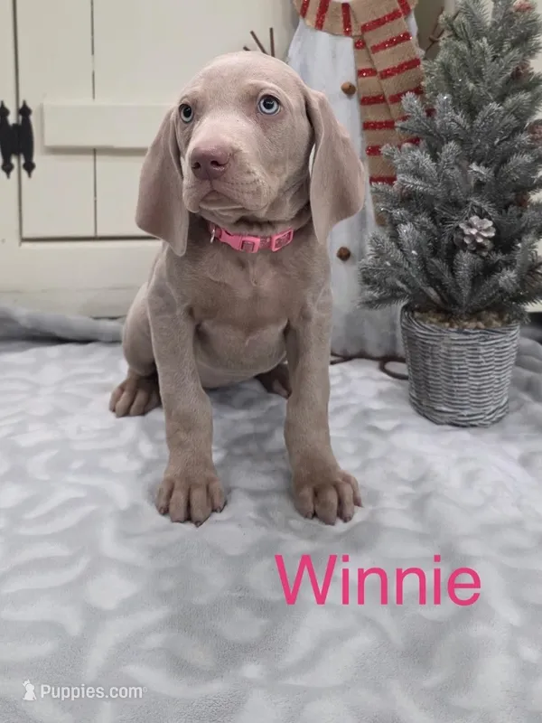 Winnie