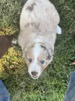 processed/7be5c70b-b28f-4b26-93eb-4809d5de8025/listing/28ab0970-d0a8-4fae-8c57-1674dc9fce92/25c79389-c7f1-47fb-bba2-a2f2ed84db2e