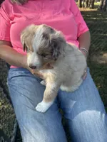 processed/7be5c70b-b28f-4b26-93eb-4809d5de8025/listing/28ab0970-d0a8-4fae-8c57-1674dc9fce92/7508b285-a858-4abd-95e1-3214ea006f85