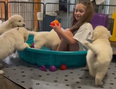 Facility video