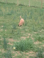 processed/7bf21a65-c31d-4376-a833-0bf70efa7b5f/facility/3429b233-9717-4e6b-8756-fa52a5467201