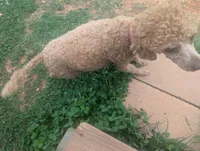 processed/7bf21a65-c31d-4376-a833-0bf70efa7b5f/facility/5160cd43-2553-417a-a4ea-14e190be022a