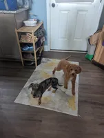 processed/7bf21a65-c31d-4376-a833-0bf70efa7b5f/facility/8777fb0f-fccd-47a4-84fb-da7b42d58aee